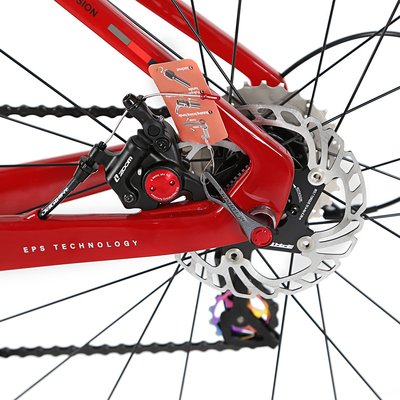 R10 700C 24 Speed Disc Brake Carbon Fiber Road Bike Alloy Wheel T900 Carbon Frame